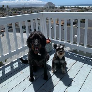 Meet your Posher, Jackie